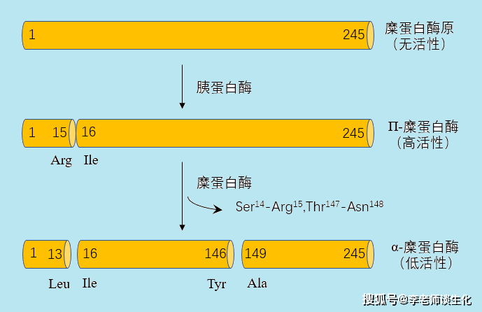  美因茨核心复出激活进攻体系  